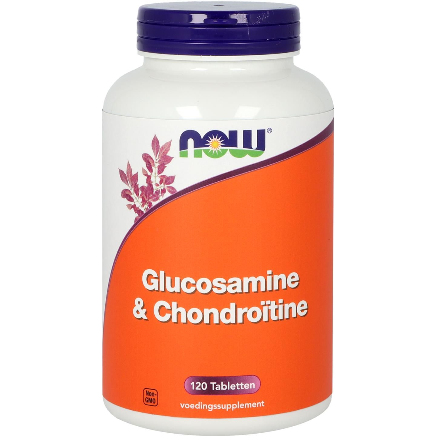 Now Glucosamine & Chondroitine