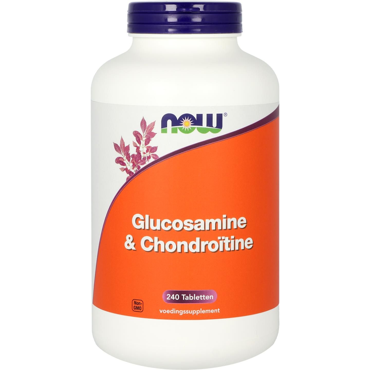 Now Glucosamine & Chondroitine
