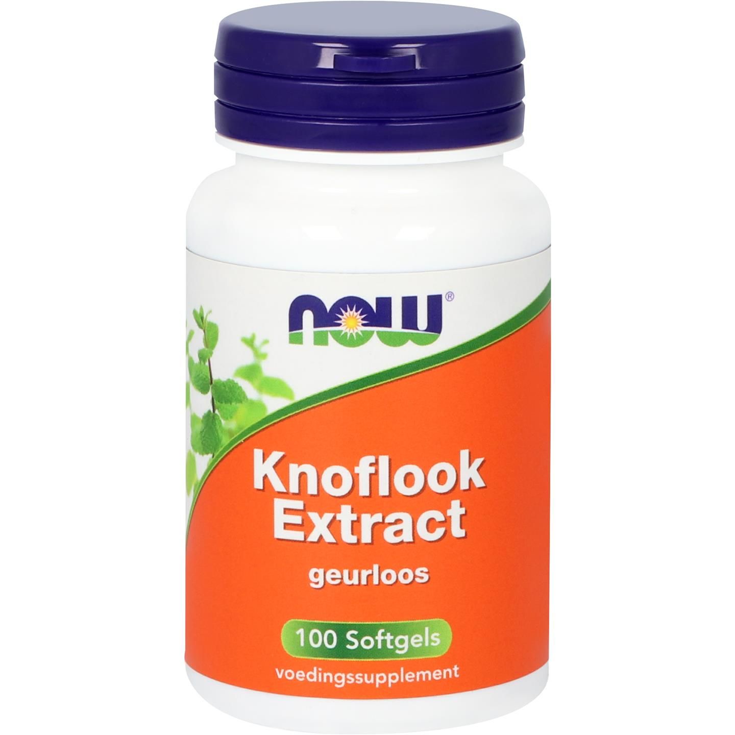 Now Knoflook Extract