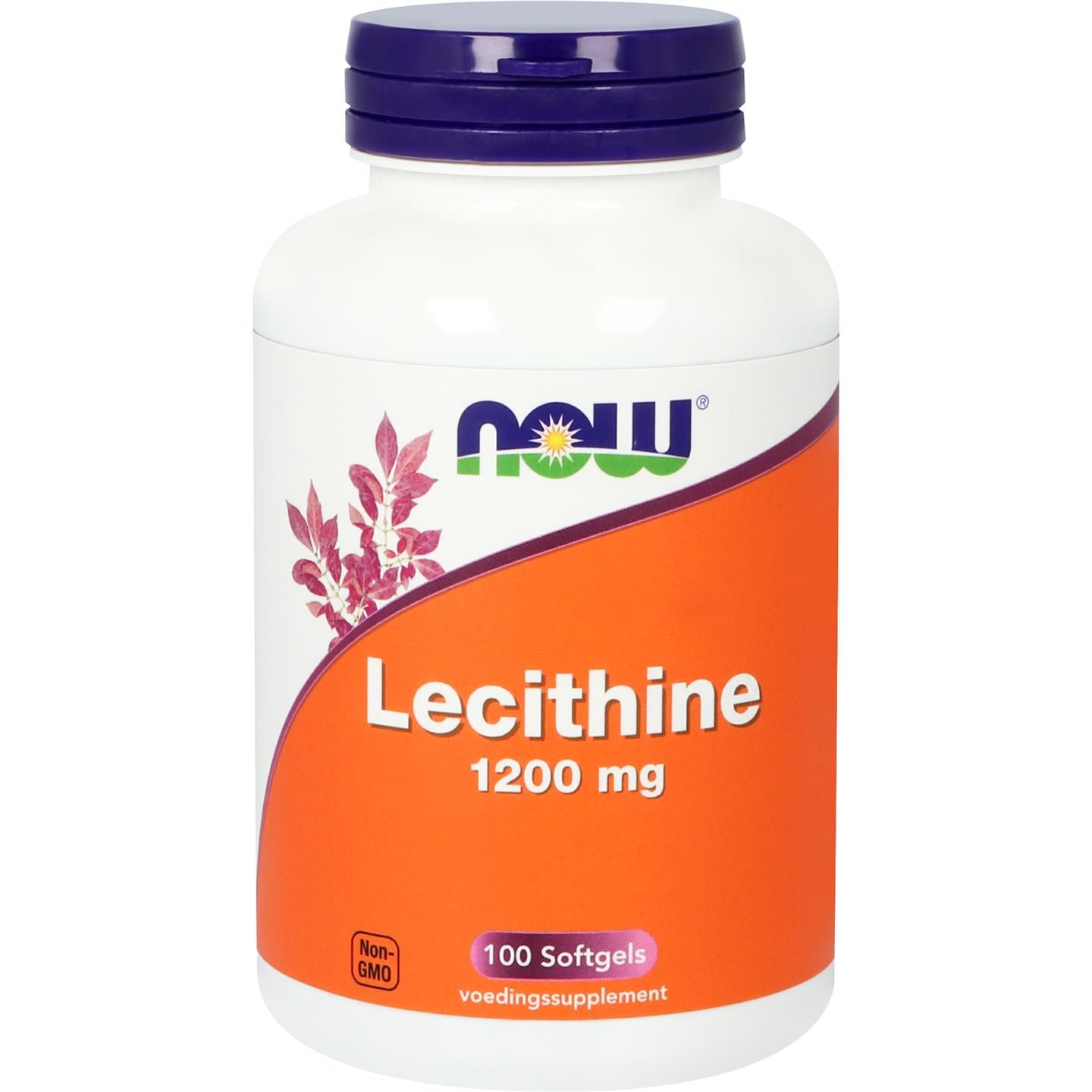 Now Lecithine 1200Mg