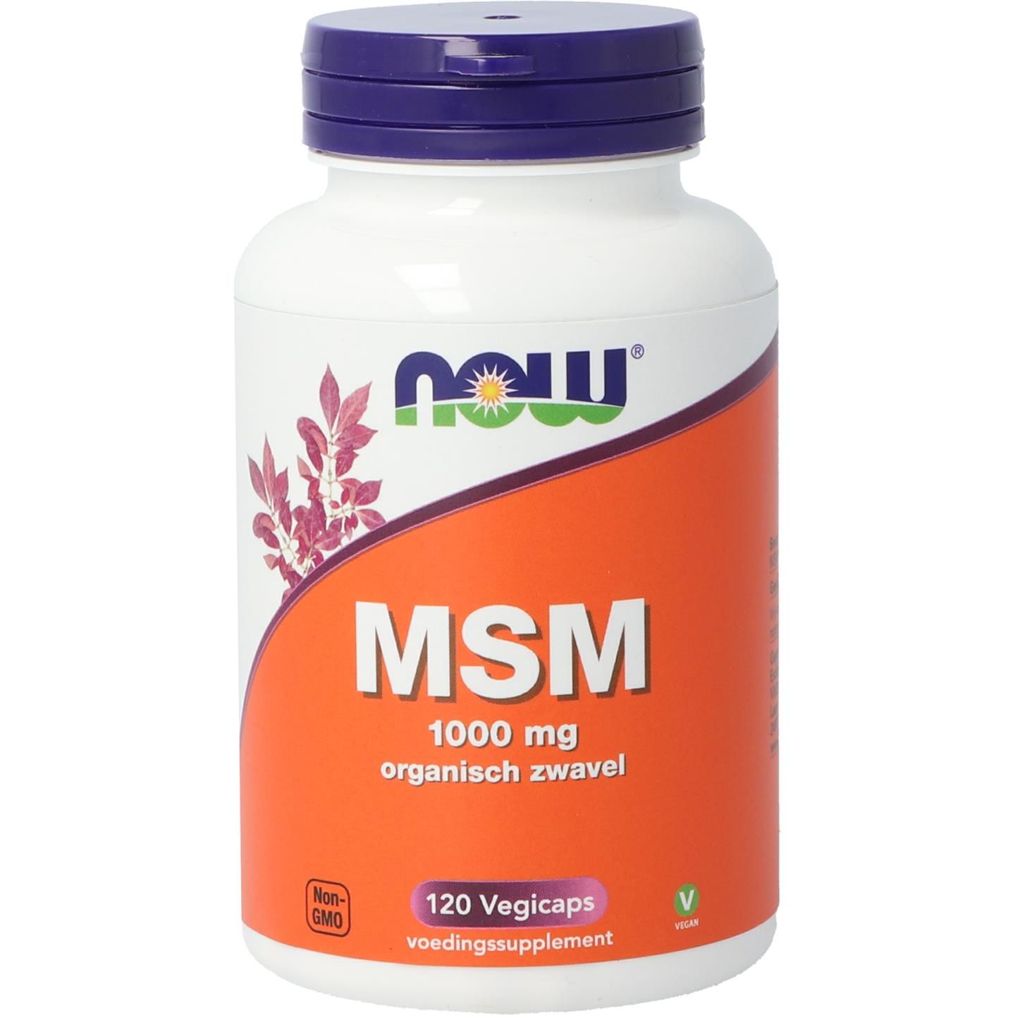 Now Msm 1000Mg