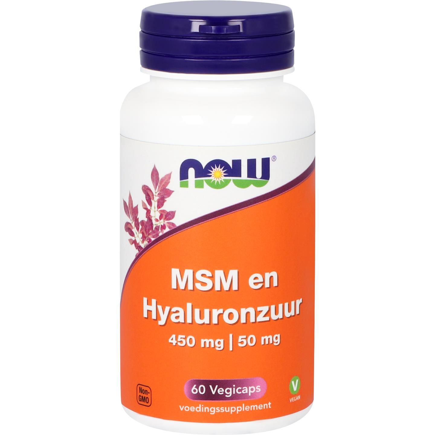 Now Msm 450Mg En Hyaluronzuur 50Mg