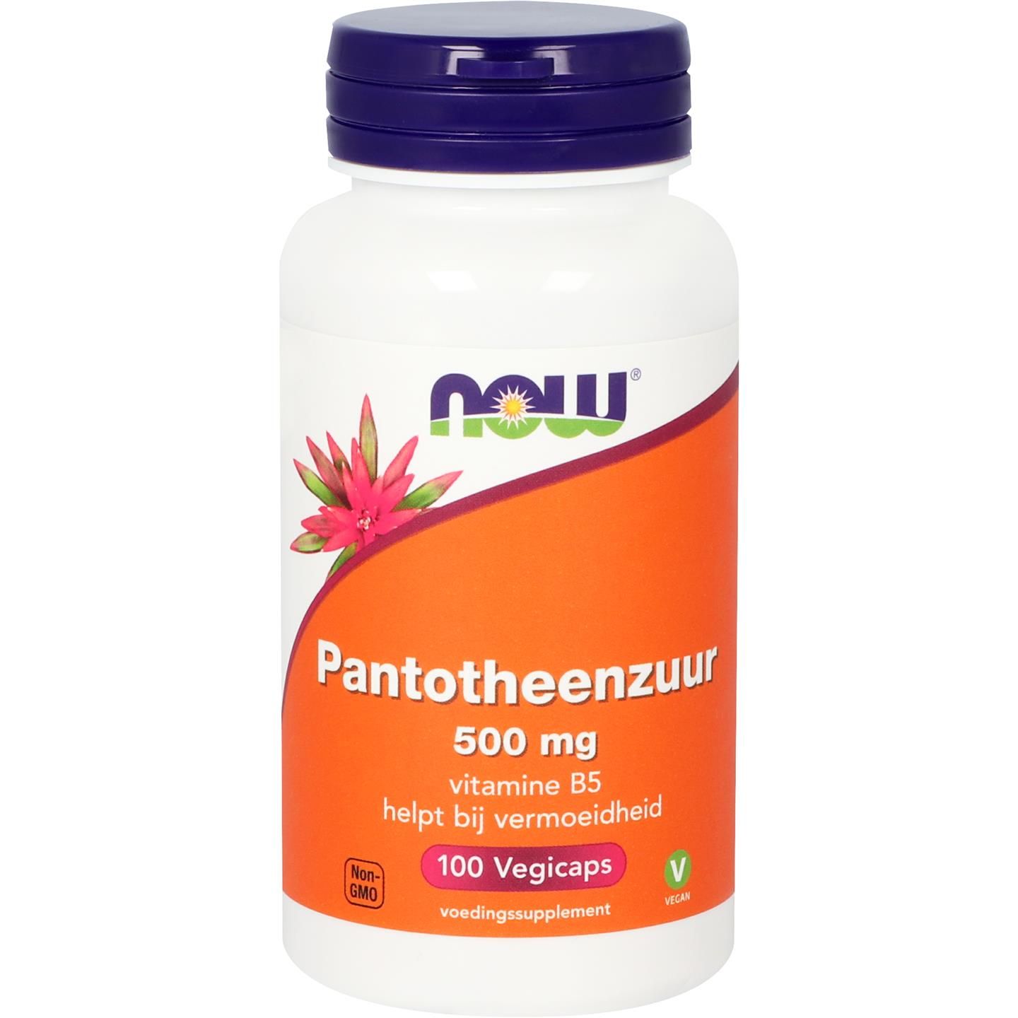 Now Pantotheenzuur 500Mg (B5)