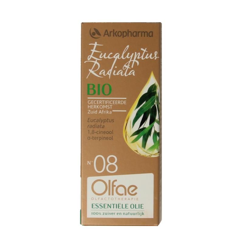 Olfae Eucalyptus Radiata 08 Bio