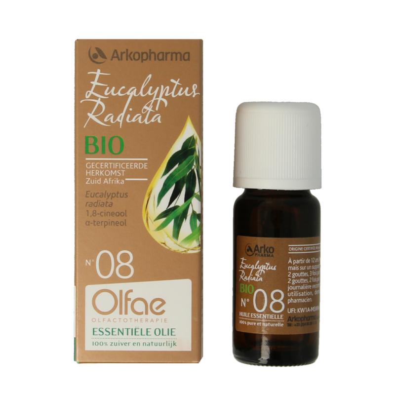 Olfae Eucalyptus Radiata 08 Bio