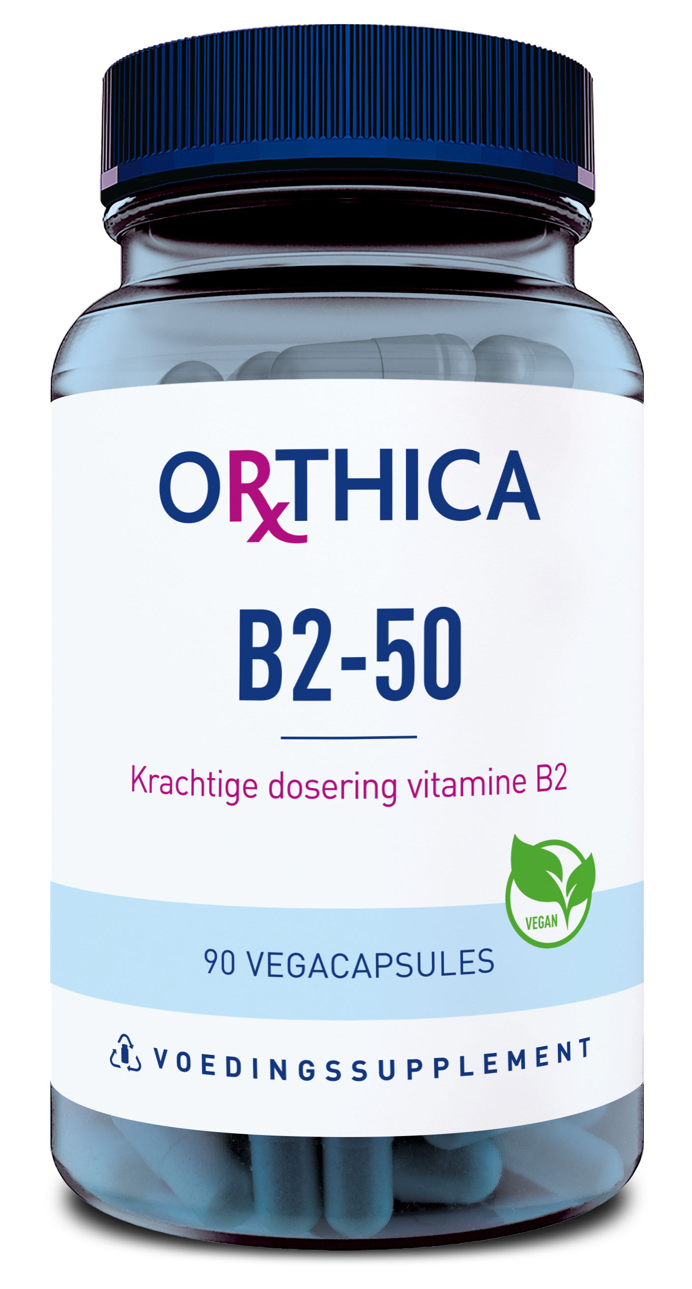 Orthica B2-50