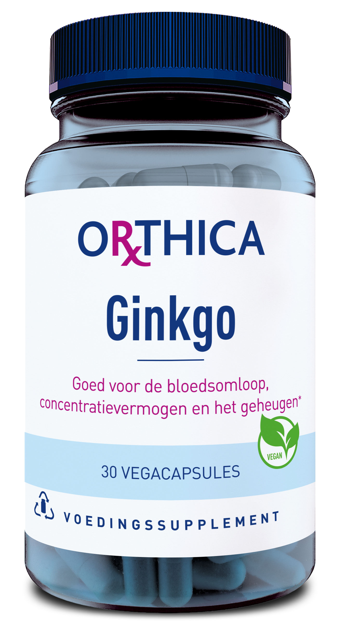 Orthica Ginkgo
