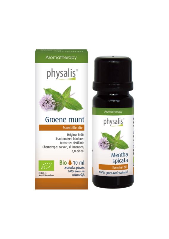 Physalis Groene Munt Bio