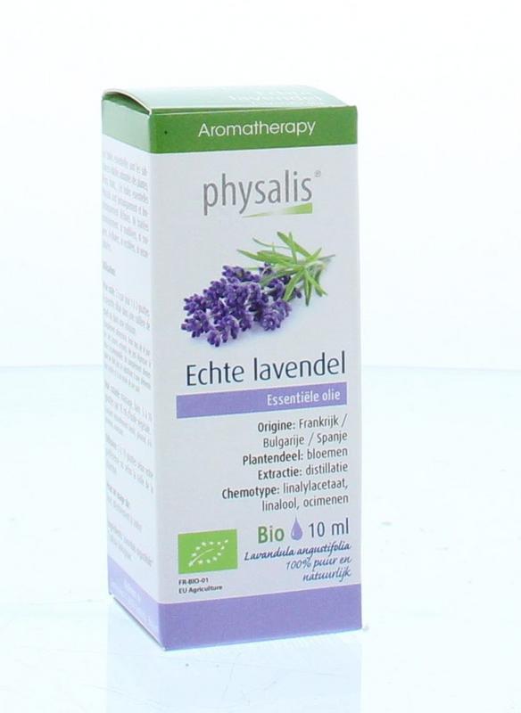 Physalis Lavendel Echte Bio