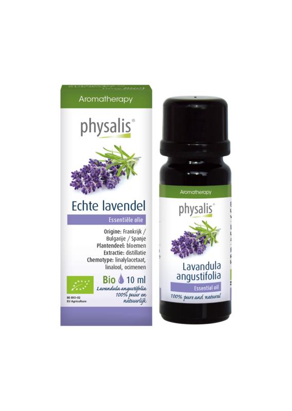 Physalis Lavendel Echte Bio