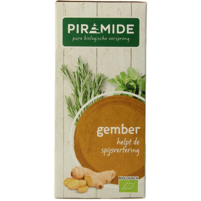 Piramide Gember Thee Eko Bio