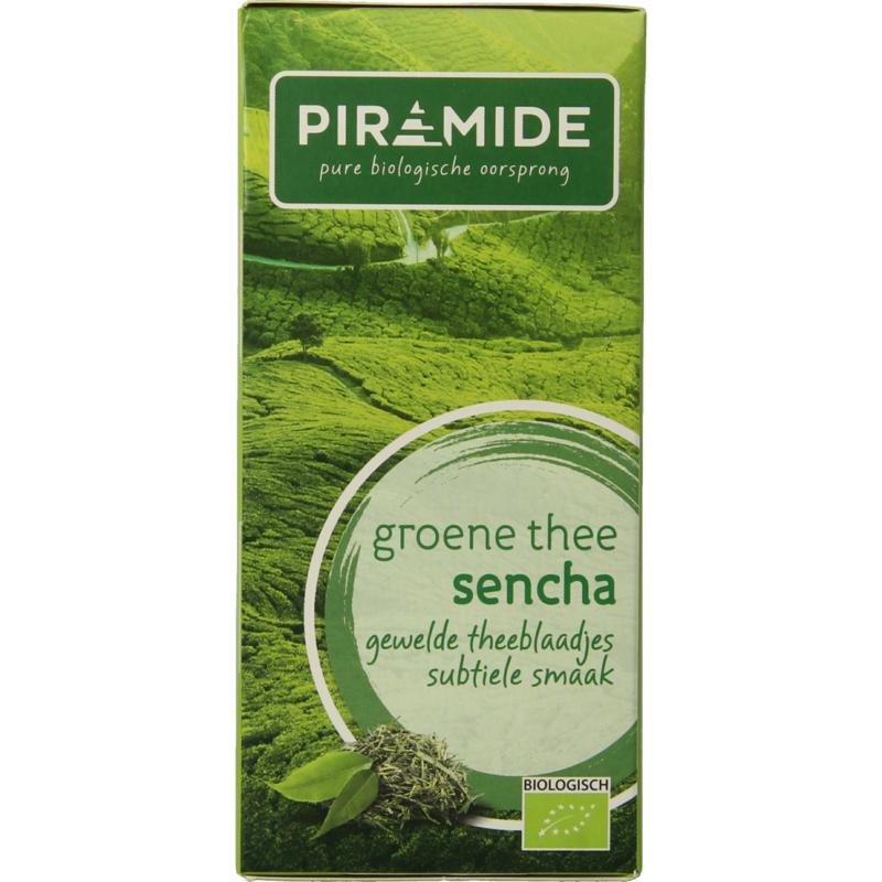Piramide Groene Thee Sencha Eko Bio