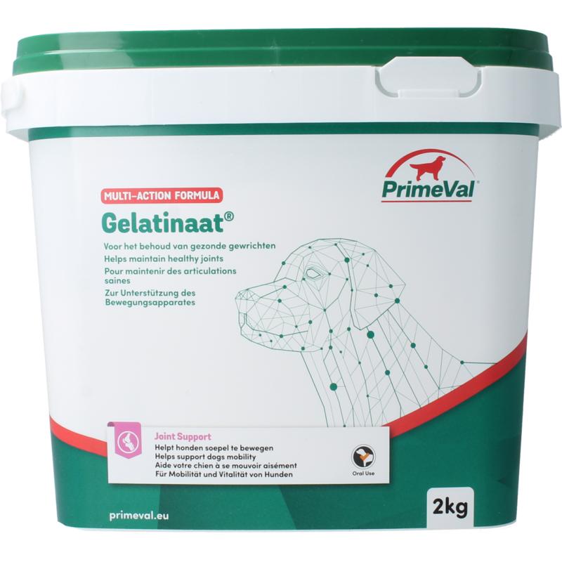 Primeval Gelatinaat Hond