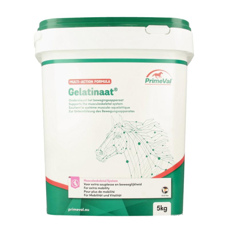 Primeval Gelatinaat Paard
