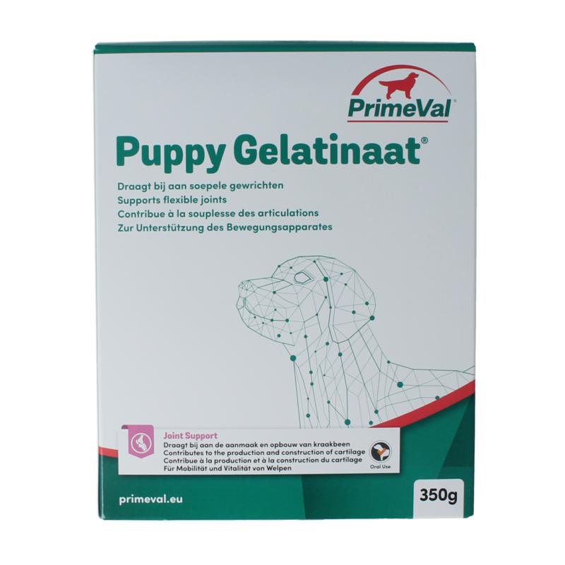 Primeval Gelatinaat Puppy