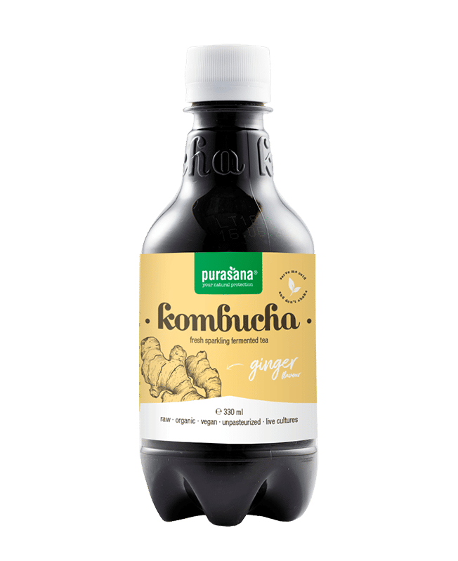 Purasana Kombucha Gember Vegan Bio