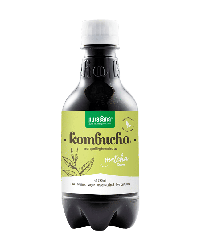 Purasana Kombucha Matcha Vegan Bio