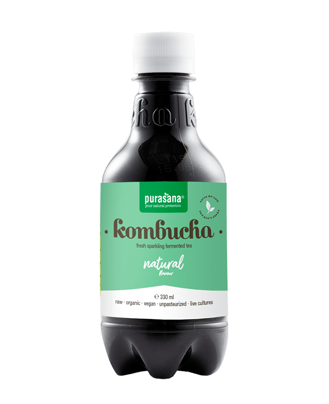 Purasana Kombucha Natural Vegan Bio