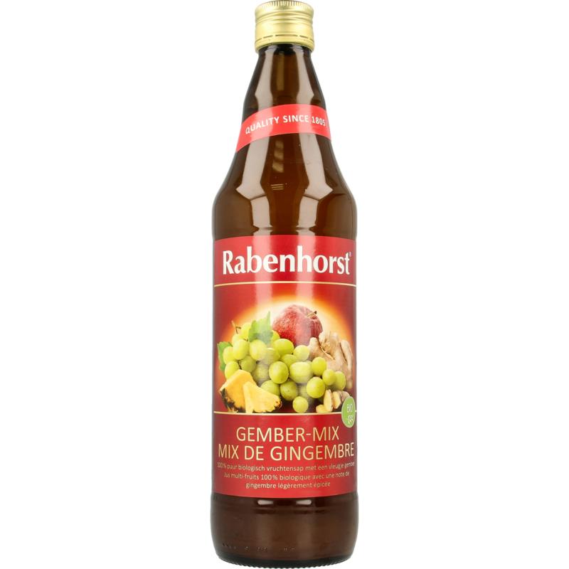 Rabenhorst Ginger Mix Bio