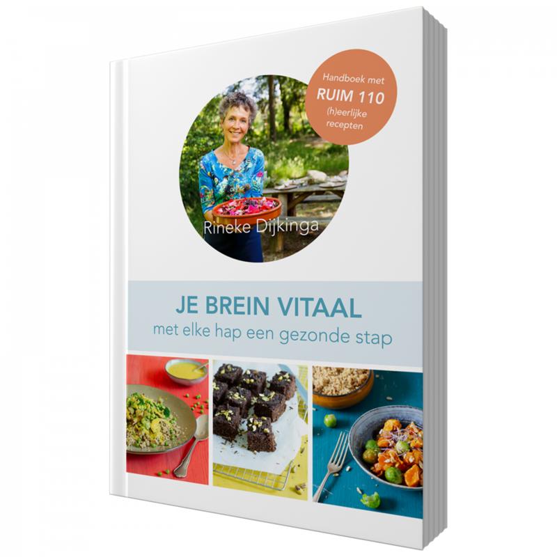 Rineke Books Je Brein Vitaal