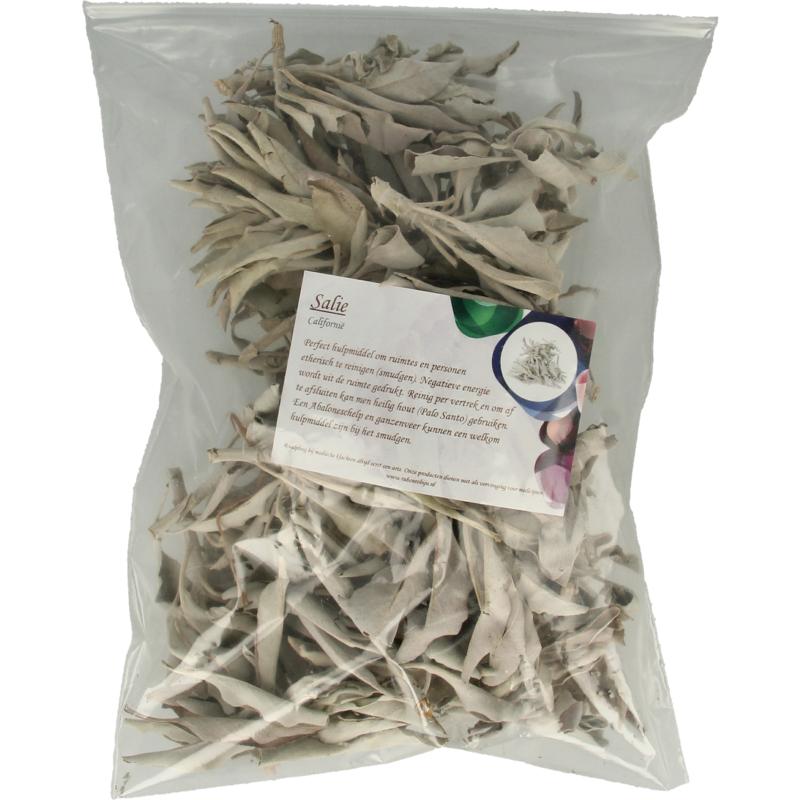 Ruben Robijn Saliezakje