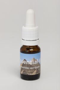 Seven Essentials Pyramides Van Gizes