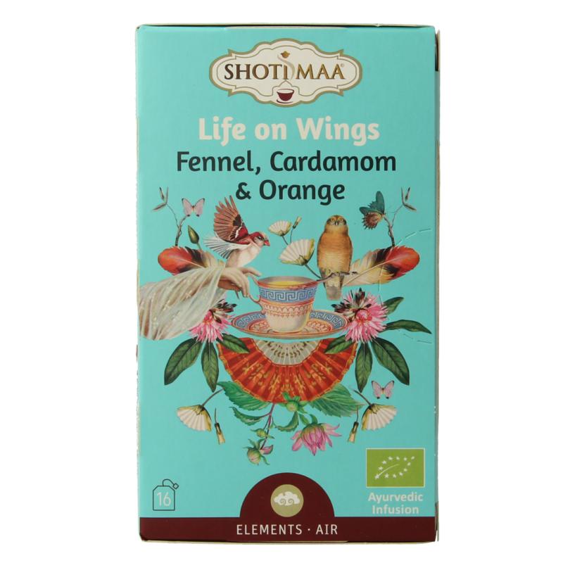 Shoti Maa Air Life On Wings Bio