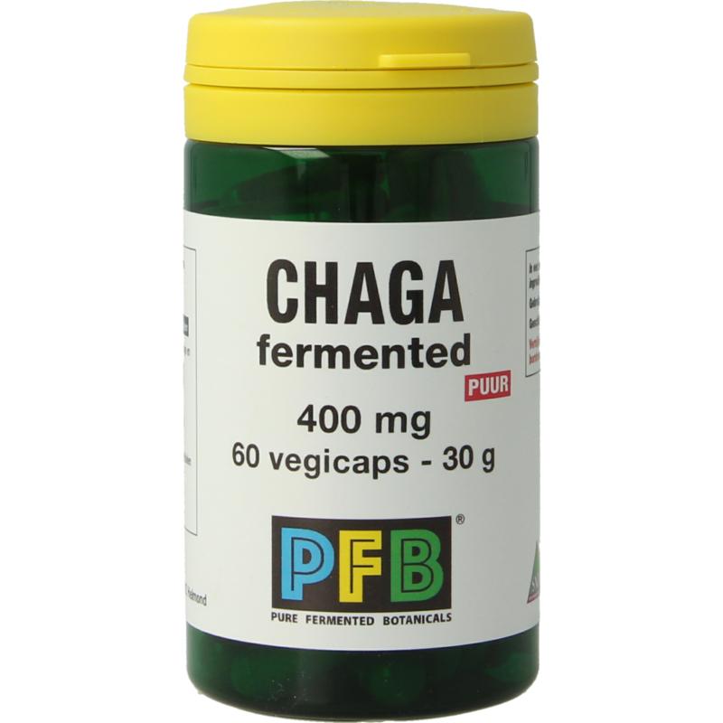 Snp Chaga Fermented 400 Mg Puur
