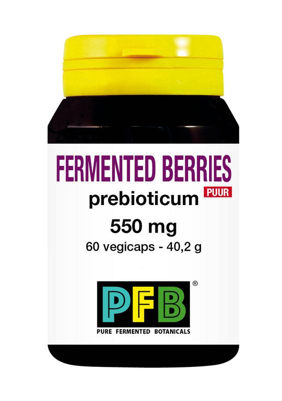Snp Fermented Berries 550Mg Puur