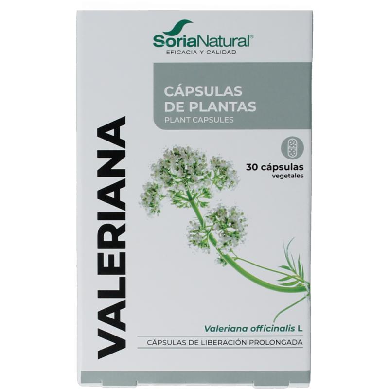 Soria Natural 34- S Valeriana Xxi