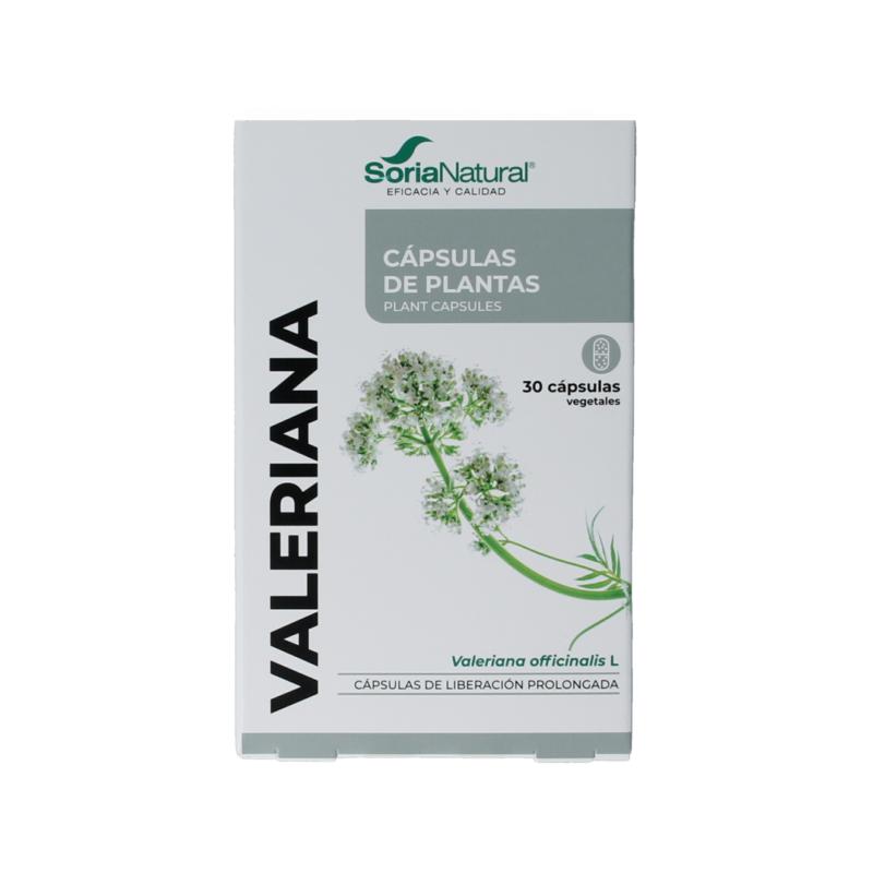 Soria Natural 34- S Valeriana Xxi