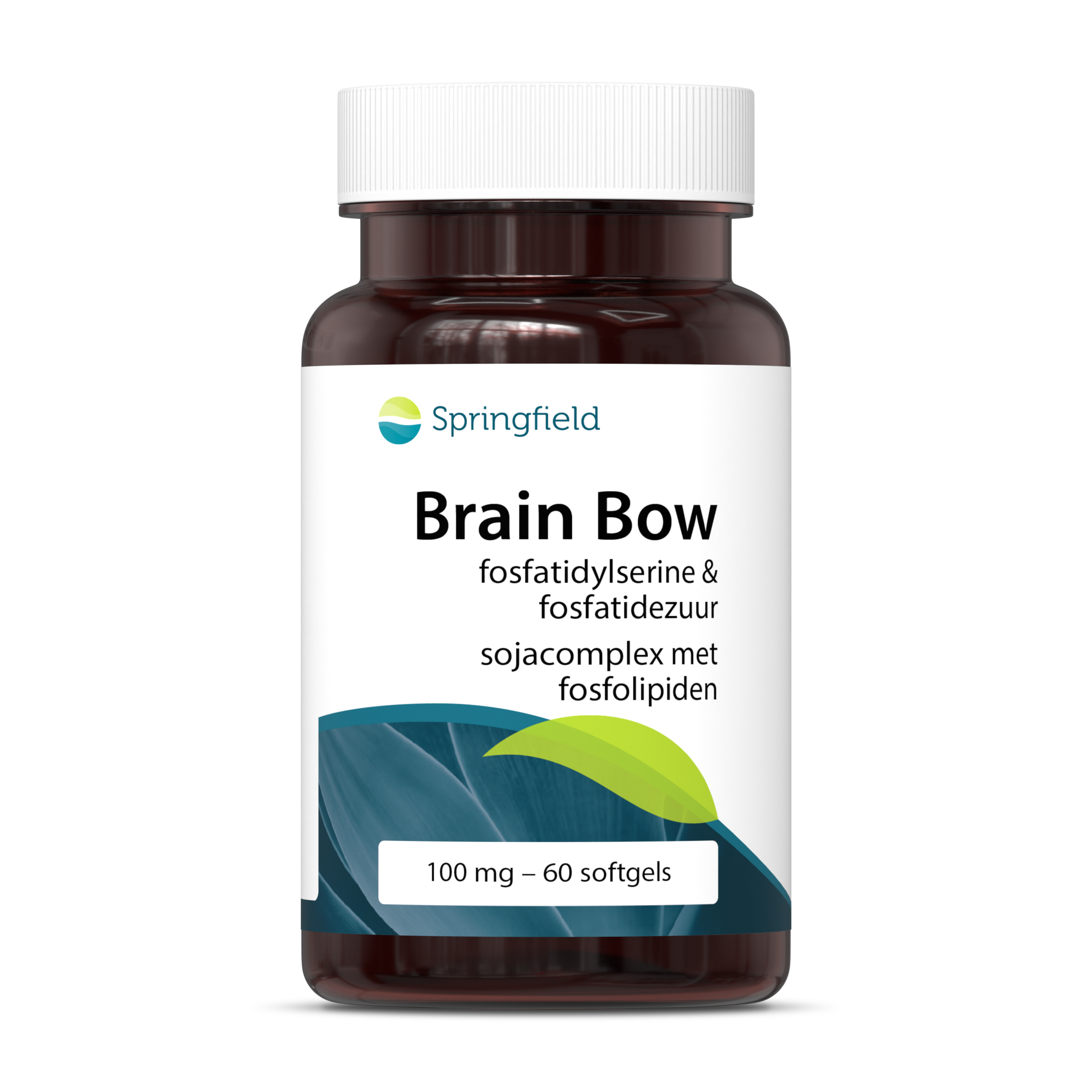 Springfield Brain Bow