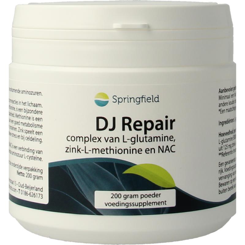 Springfield Dj Repair Glutnaczink