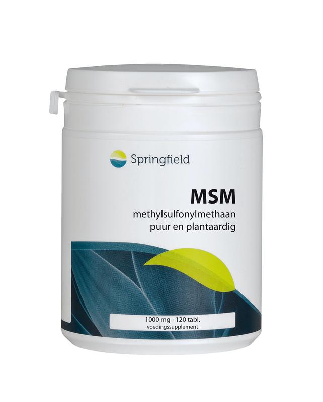 Springfield Msm 1000Mg