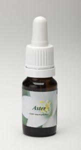 Star Remedies Aster
