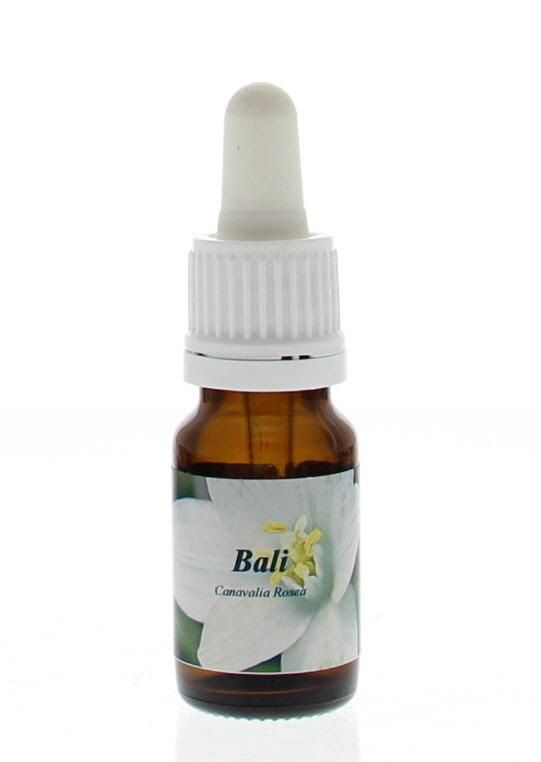 Star Remedies Bali