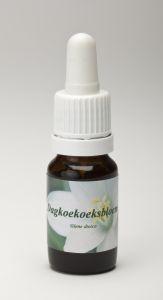 Star Remedies Dagkoekoeksbloem