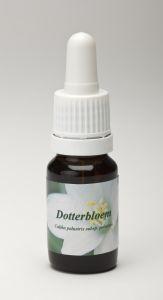 Star Remedies Dotterbloem