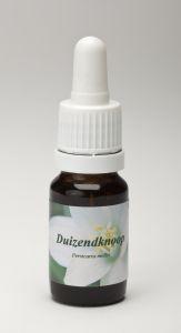 Star Remedies Duizendknoop
