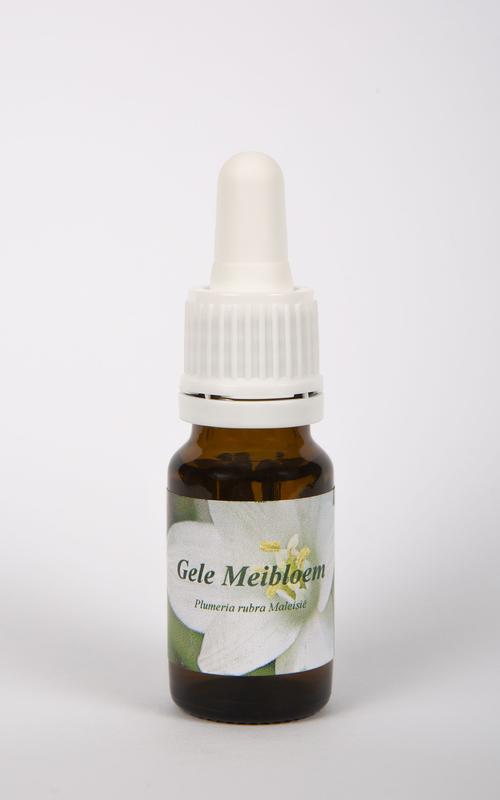 Star Remedies Gele Meibloem