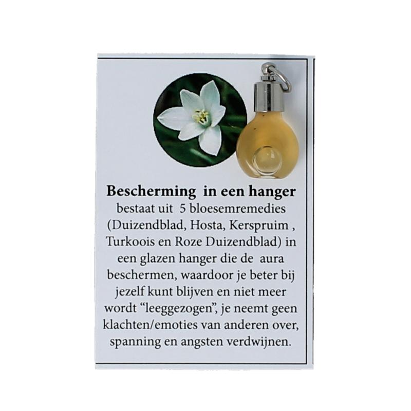 Star Remedies Hanger Met Bescherming