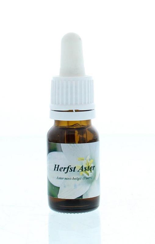 Star Remedies Herfstaster