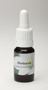 Star Remedies Hortensia