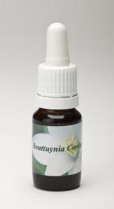 Star Remedies Houttuynia Cordata