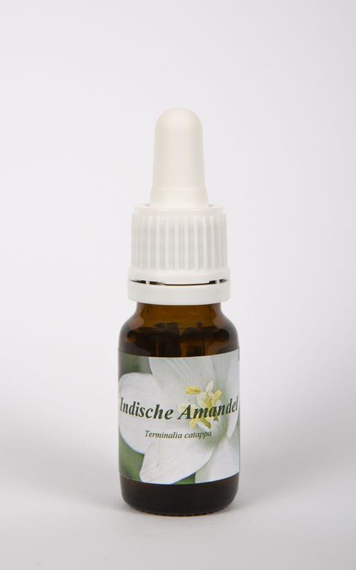 Star Remedies Indische Amandel