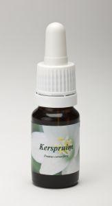 Star Remedies Kerspruim