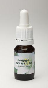 Star Remedies Koningin Van De Kusten