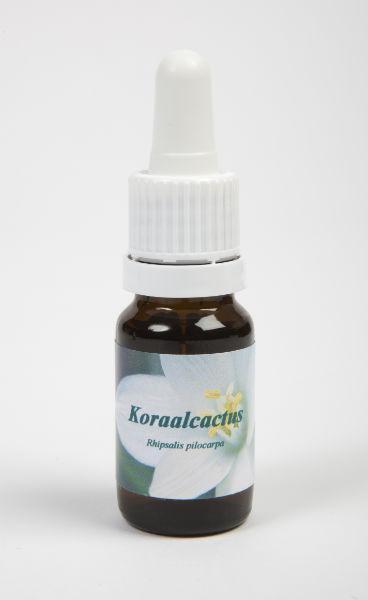 Star Remedies Koraalcactus