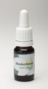 Star Remedies Maskerbloem
