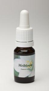 Star Remedies Meibloem